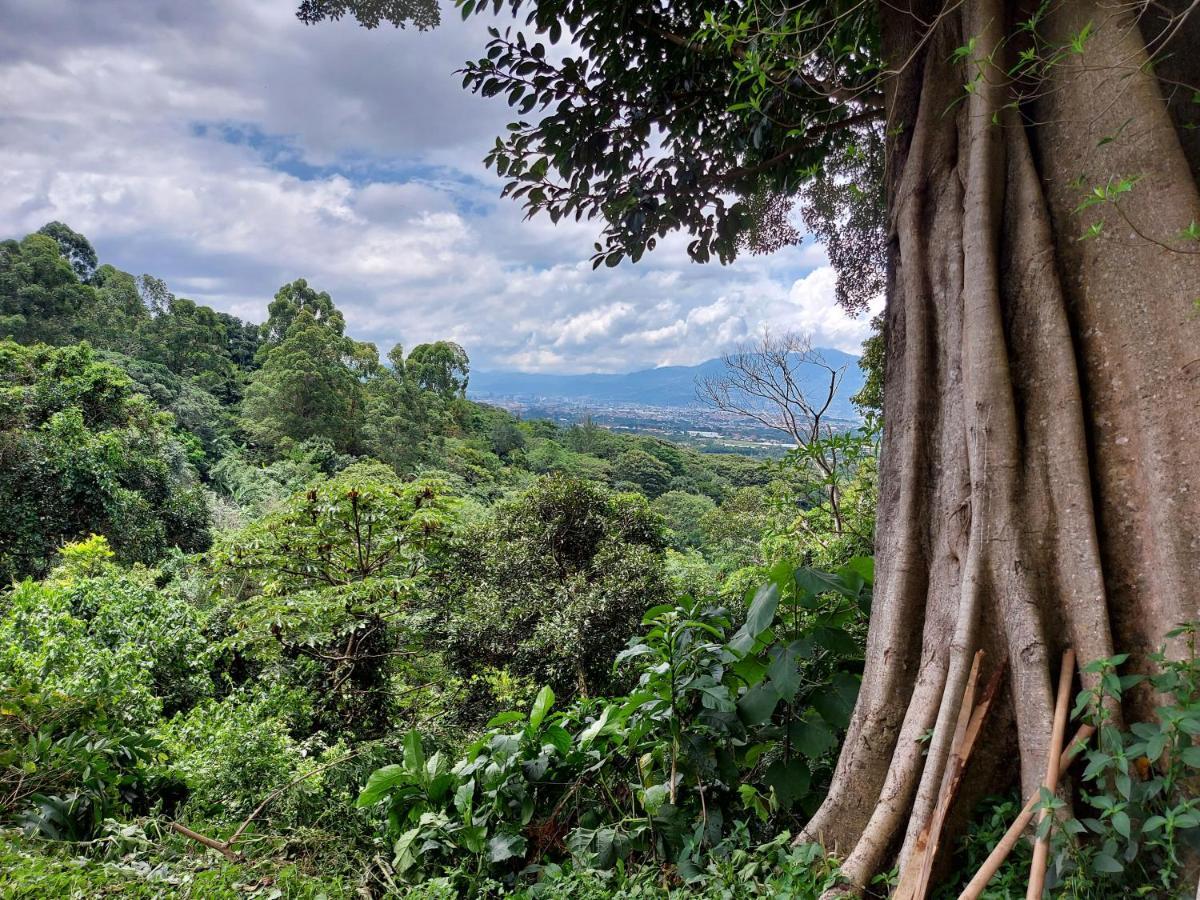 Hotel Monte Campana Heredia Birrí Exteriér fotografie